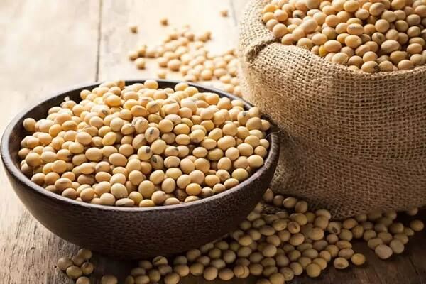 Soyabean